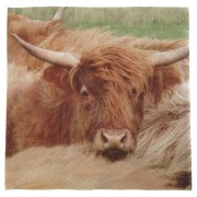 Napkins - Highland Cow 1